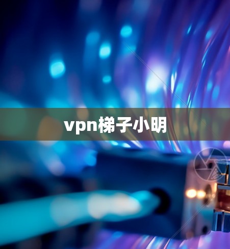 vpn梯子小明